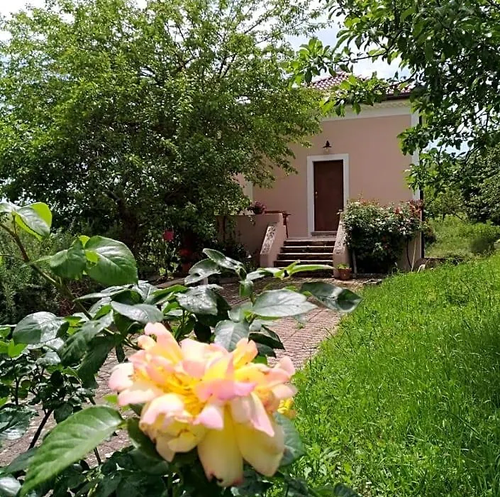 L'Antico Gelso-1